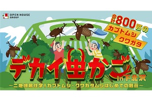 下北沢に800匹のカブトムシの待つ「デカイ虫かご」が登場