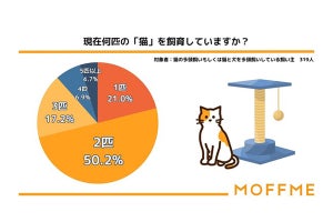 【8月8日は世界猫の日】多頭飼い主に聞いた、ペット保険に加入している人の割合は?