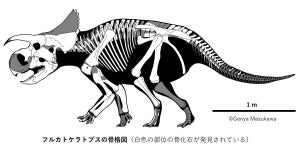 国立科学博物館、新種の角竜を命名! 『恐竜博2023 大阪会場』で実物化石を展示中