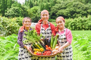 豊かな大地を味わう! 熊本県南小国町のふるさと納税「夏の味覚」6選