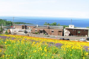 北海道の小樽に「五感全て」でワインを楽しめる施設が登場
