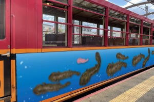 嵯峨野観光鉄道「オオサントロッコ列車」運行、京都水族館とコラボ