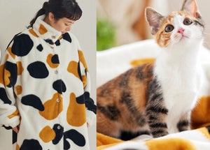 ニッセンから「まるで猫!」の着る毛布が登場 - 「猫を纏いたい」「猫を身に付けたい」という欲望を商品化