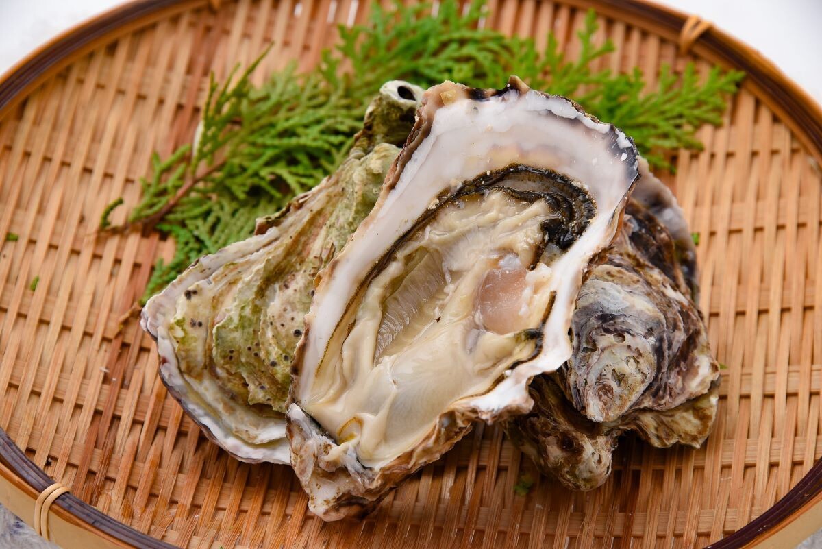 広島県呉市のふるさと納税返礼品「北吉水産の冷凍かき」とは?