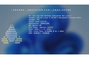 Windows Subsystem for Linuxガイド 第23回 Linux GUIアプリを動かすWSLg「基本編」