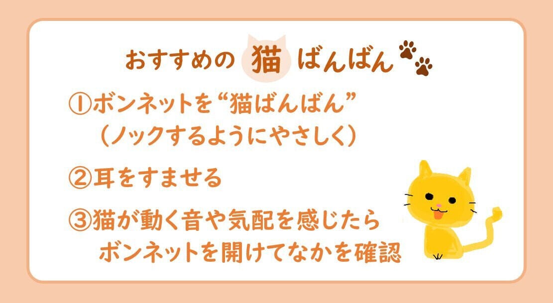 猫バンバン】「猫のクルマ侵入」トラブル、冬よりも春や秋に多い - JAF