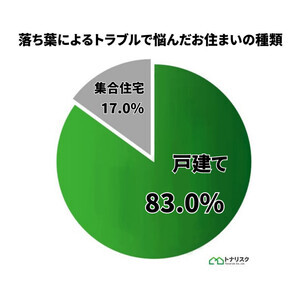 「落葉もうちの財産だ」隣人トラブルで落葉が原因に? 実際に起こった隣人問題を調査