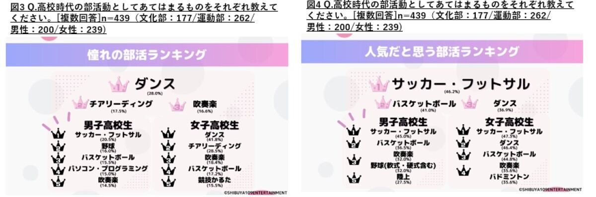 所属していた部活動