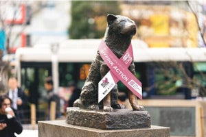 【ピンクリボン月間】ハチ公&モンチッチ銅像もピンク仕様に-「乳がん」の早期発見を啓発