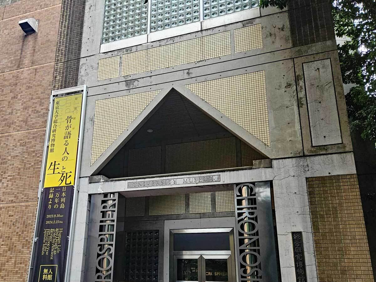 縄文人は現代人に比べてマッチョで、顔立ちは彫りが深く整った歯並び。鎌倉時代は出っ歯が特徴で、小顔化が進んだ江戸時代に歯並びが乱れてきた
