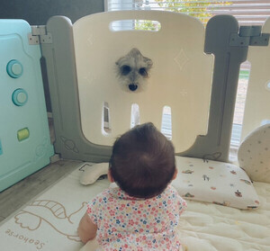 【じーっ】愛犬と赤ちゃんの尊い日常にほっこり-「めちゃかわいい光景」「癒やされる」「ベビーシッターイッヌ」