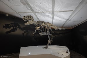 ソニーストア名古屋に恐竜襲来、ソニーの技術活用の体験型イベント『恐竜ミュージアム』