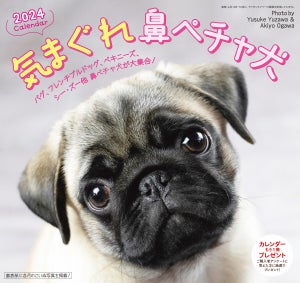 2024年「気まぐれ鼻ペチャ犬カレンダー」が発売 - パグ、フレンチブルドッグなどの鼻ペチャ犬が大集合!
