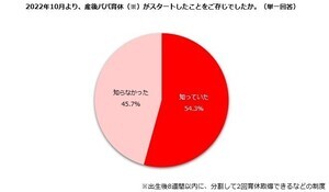 産後パパ育休のデメリットは「妻のストレスが溜まる」、メリットは? 