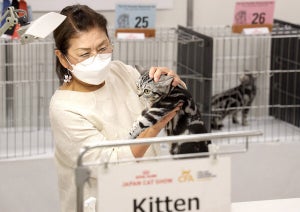 計262頭もの“健康な猫”が一堂に集結! 第3回「ジャパンキャットショー」の詳細をレポート