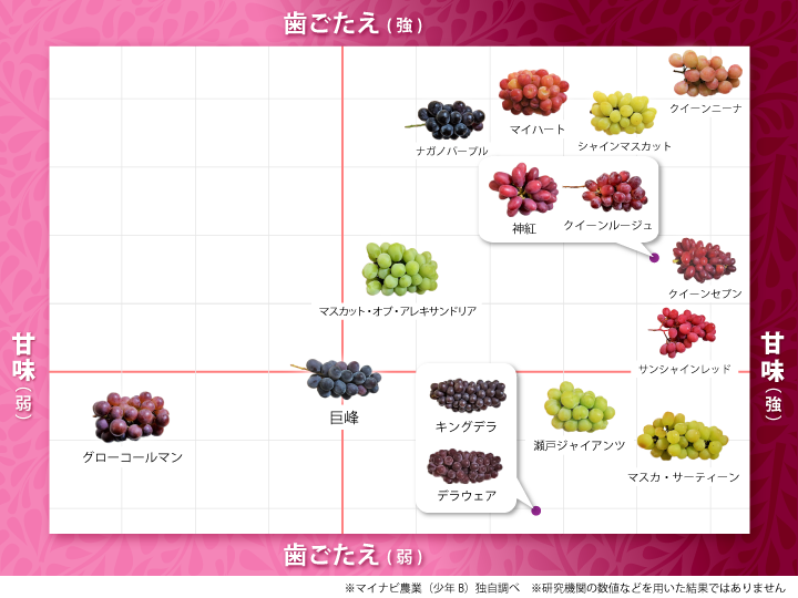 ブドウマニアが選ぶ、スーパーで買えるおすすめのブドウ10選+珍しいブドウ5選 | マイナビニュース