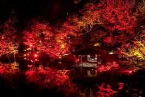 【期間限定】八芳園、秋のライトアップイベント開催 - 限定メニューやバーも登場!