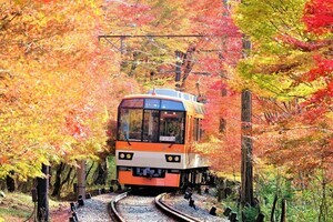 叡山電鉄「秋ダイヤ」11月に増便「もみじのトンネル」で徐行運転も