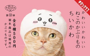 【猫にハチワレ】ちいかわデザイン「ねこのかぶりもの」カプセルトイが話題に!
