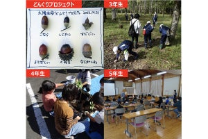 滋賀県高島市「太陽生命くつきの森林」で地元小学校と協働でどんぐりプロジェクト