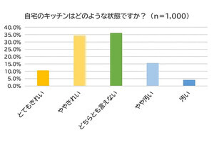 金運を下げるキッチンの特徴、「排水溝が臭う」「換気扇が汚れている」「保冷剤が多い」ともう一つは?