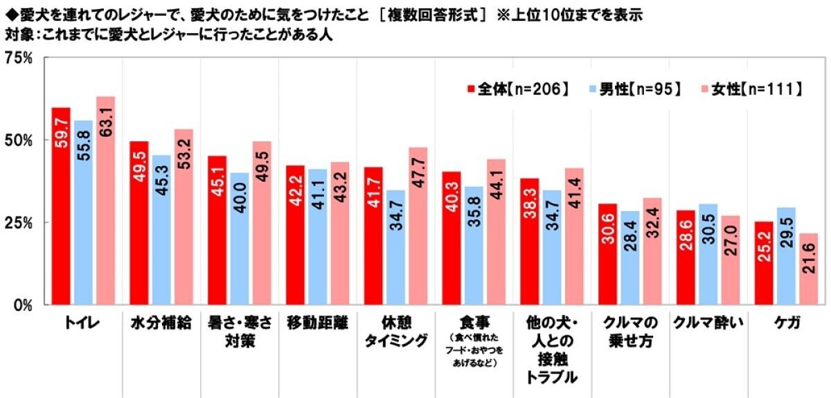 愛犬とのレジャー