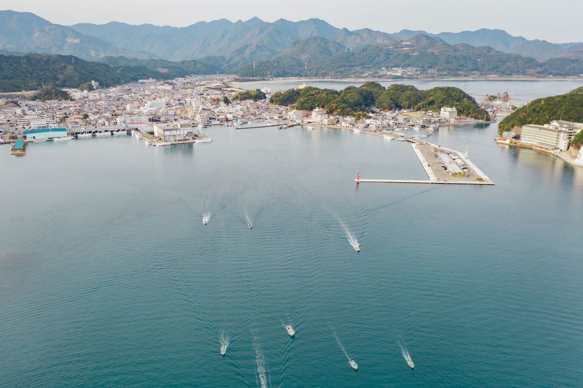 和歌山県那智勝浦町のふるさと納税「那智勝浦の特産品『まぐろ』特集