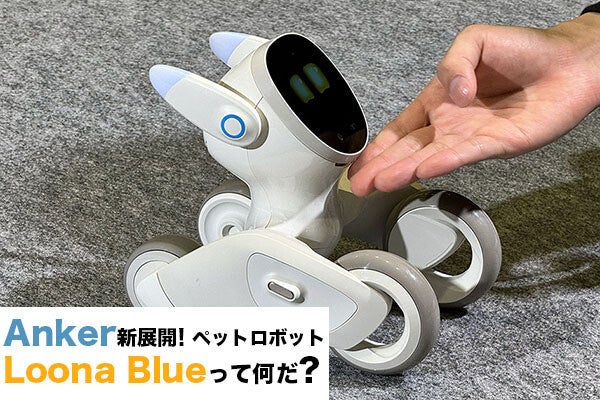 定価89990円のお品物ですペットロボット Loona Blue Powered by Anker