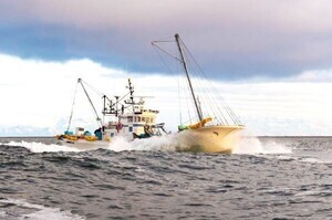 北海道別海町のふるさと納税「ホタテを食べて応援! 緊急支援の返礼品」9選