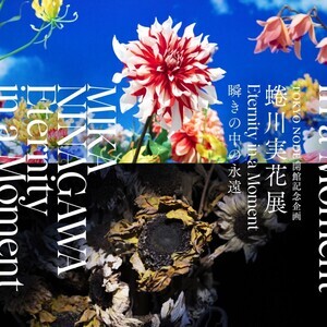 【地上200mの桃源郷】史上最大規模『蜷川実花展 Eternity in a Moment 瞬きの中の永遠」虎ノ門ヒルズで開催! -「めっっっっっちゃ行きたい!!!」「これは逃せん」と話題沸騰中