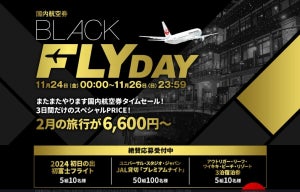 JALのブラックフライデーが激アツ!! - 国内6600円〜のスペシャルPRICEに「旅行、行きます!」「これで夫の実家に帰りたい!!!」とワクワクが止まらない!