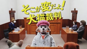 クリステル財団、虐待されたペットを描いた啓発動画「そこが変だよ! 犬猫裁判」公開