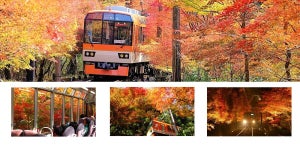 【絶景】京都・叡山電鉄「もみじのトンネル」が圧巻! -「綺麗すぎてそれ以外の言葉が見つからない」と感動の声
