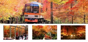 【絶景】京都・叡山電鉄「もみじのトンネル」が圧巻! -「綺麗すぎてそれ以外の言葉が見つからない」と感動の声