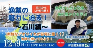 石川県の漁師が子供たちに特別授業、「アオリイカ調理」など実施