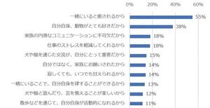 犬・猫を飼いたい人の迎え入れ先、「ペットショップ」と「保護施設」どっちが多い?