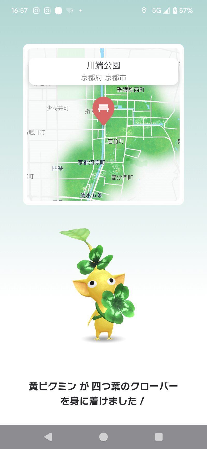 Pikmin Bloom Tour 京都