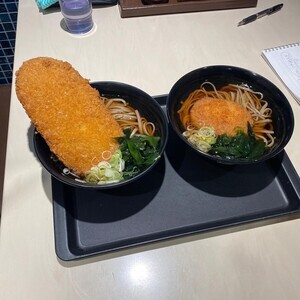 【でっかーーい!!!】富士そばの奇抜なメニュー、丼からはみ出るアレに「美味そうじゃねーか!」「もはや、トッピングが蕎麦」と話題