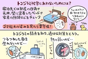 【図解! トコジラミ対策】コロナが落ち着いたら今後はシラミ?! 「参考になります」「すごいわかりやすい」