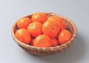 和歌山県有田川町ふるさと納税返礼品「自慢の柑橘」8選