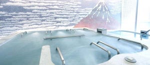 東京都「人気の温泉施設」年間ランキング、1位は墨田区のあのスーパー銭湯! 2位大田区「天然温泉平和島」