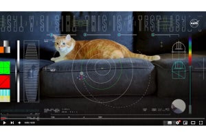 「まさに宇宙猫」「NASAは猫派」 NASAがレーザーで深宇宙から地球への動画送信に成功…した動画が猫すぎて話題に