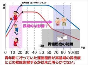 青年期にバスケやバレーをすると高齢期の「骨密度」が高くなる!? -順大が研究結果発表