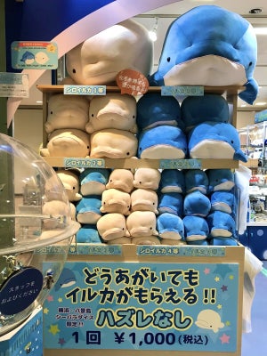 【どうあがいてももらえる!?】横浜・八景島シーパラダイスの"ハズレなしのくじ引き"が話題 - 「もはやただの買い物」「イルカ、要るかい?ってやつですね」と話題