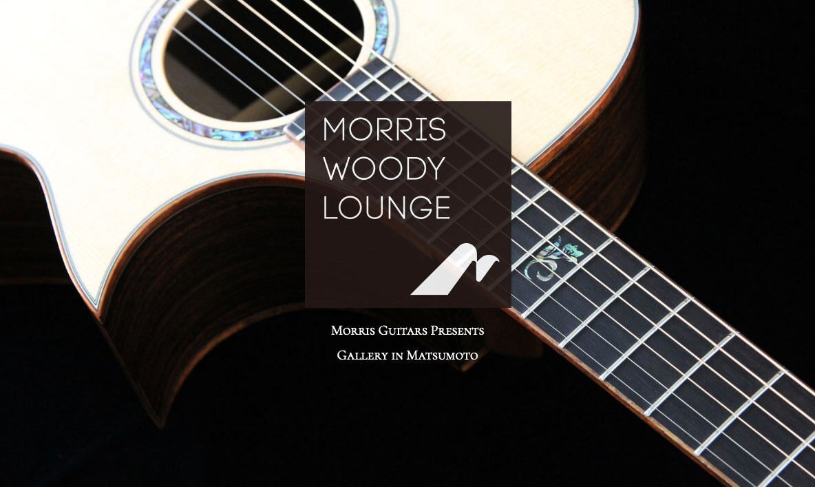 Morris MG-120E モーリス アコギ エレアコ ギター - 楽器/器材