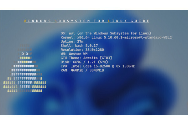 Amazon.co.jp: 最新Debian GNU/Linux完全攻略ガイド : 天野 正樹