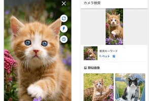 Yahoo! JAPANアプリ、カメラ検索機能を追加　画像に写っているものをまとめて検索