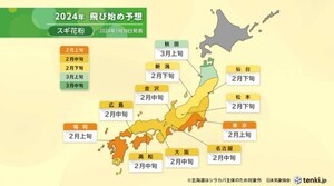 【2024年花粉飛散予測】スギ花粉は2月上旬九州〜関東の一部で飛散開始 - 北海道では前シーズン比600%以上