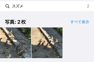 撮影した動物は「画像を調べる」で探せばいいの? - いまさら聞けないiPhoneのなぜ