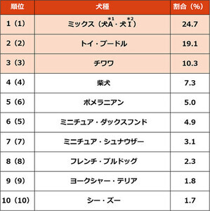 人気飼育犬種トップ3、「ミックス」「トイ・プードル」あと1つは?